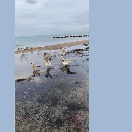 Haus _ Heike * 罗斯托克